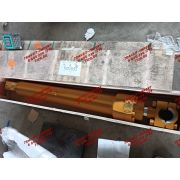 Гидроцилиндр 3839075