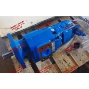 Сдвоенный насос 4120001953